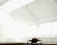 1743817150766.gif