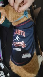 IMG_20250411_035615.jpg