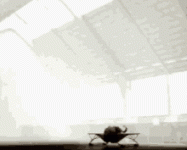 1744680067704.gif
