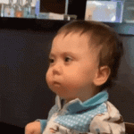 IMG_1337.gif