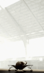 1756951174368.gif