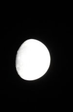 IMG_1478.jpeg