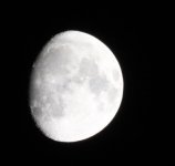 IMG_1476.jpeg