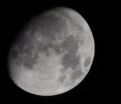 IMG_1479.jpeg