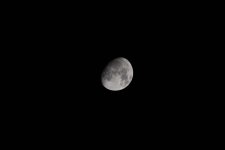 IMG_1480.jpeg