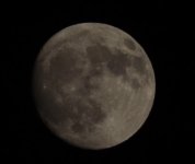 IMG_1494.jpeg