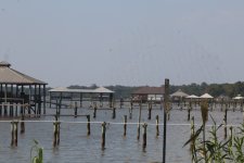 IMG_1513.jpeg