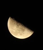 IMG_1536.jpeg
