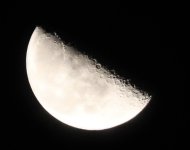 IMG_1541.jpeg