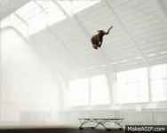 1778040104546.gif