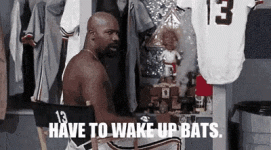 Have to Wake Up Bats gif.gif